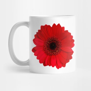 Red Gerbera daisy Flower Mug